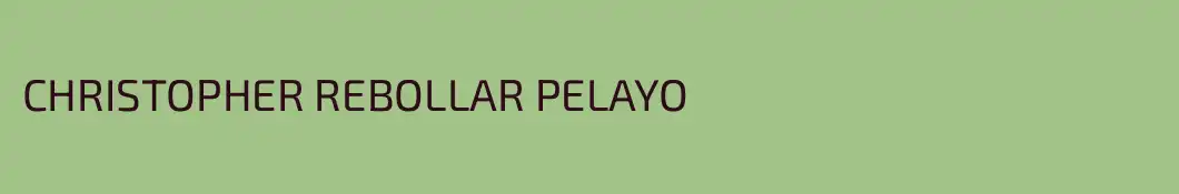 CHRISTOPHER REBOLLAR PELAYO